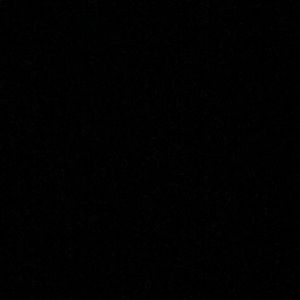 Meet your Posher, Adrienne